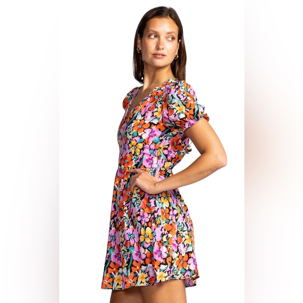 Pink Martini Michelle dress